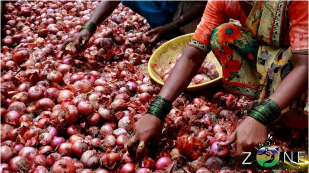 Onion Export Ban 2024 Continues: Farmers Fret, Consumers are Happy and Relieved